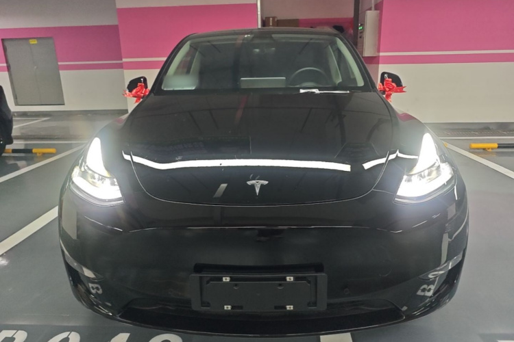 Tesla Model Y 2021 #3 Tesla Model Y 2021 car image #3