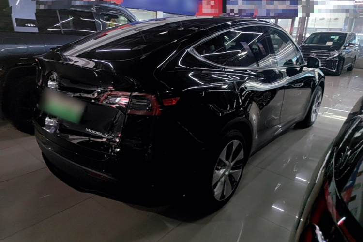 Tesla Model Y 2023 car image #7