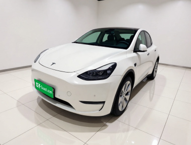 Tesla Model Y 2021 Tesla Model Y 2021 car image