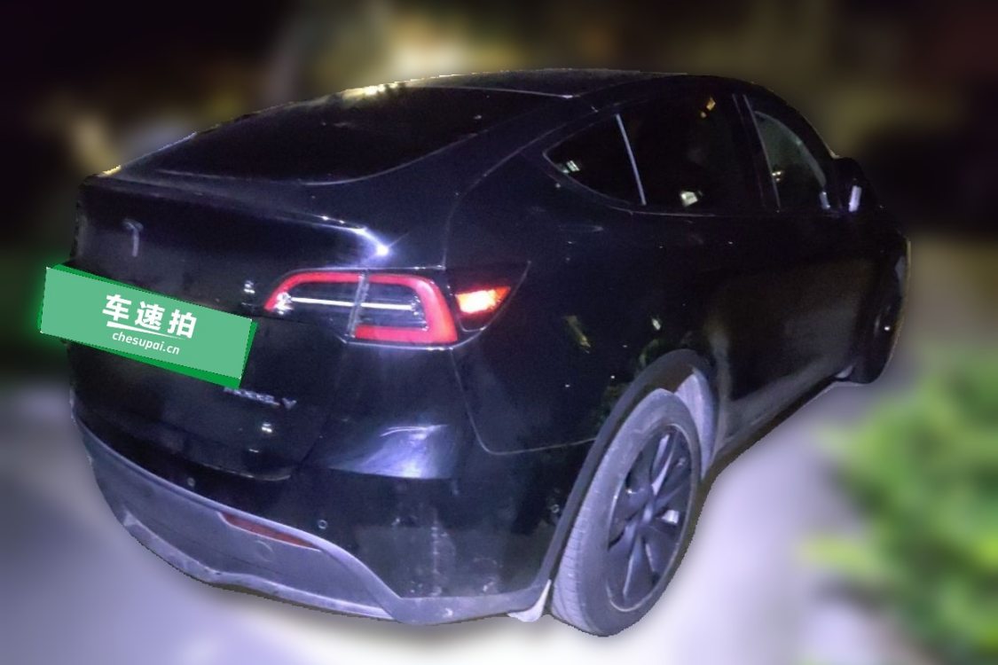 Tesla Model Y 2023 #4 Tesla Model Y 2023 car image #4