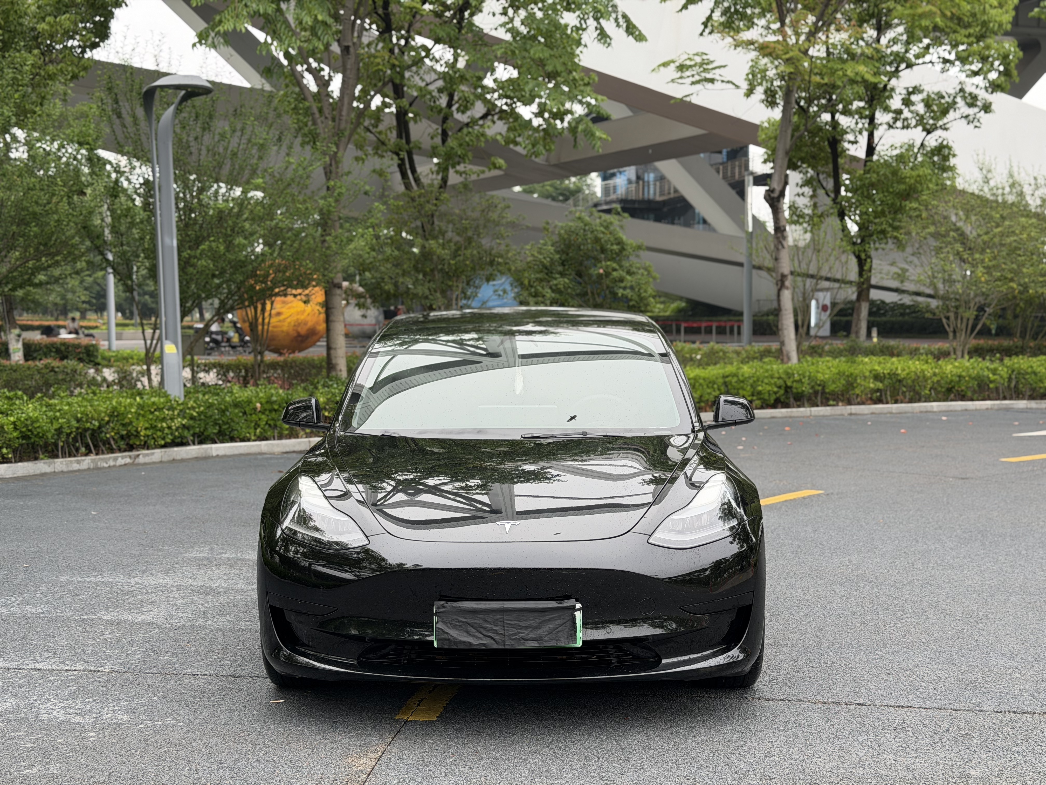 Tesla Model 3 2021 immagine di auto #2