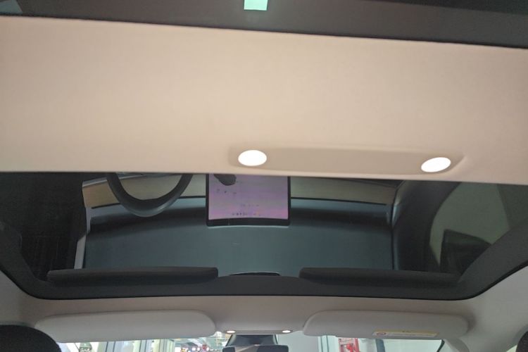 Tesla Model 3 2021 car image #18