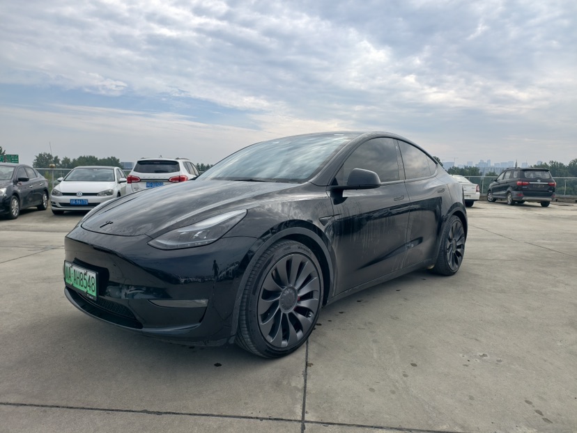 Tesla Model Y 2023 Tesla Model Y 2023 car image