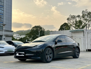 Tesla Model 3 2023 汽车图片 