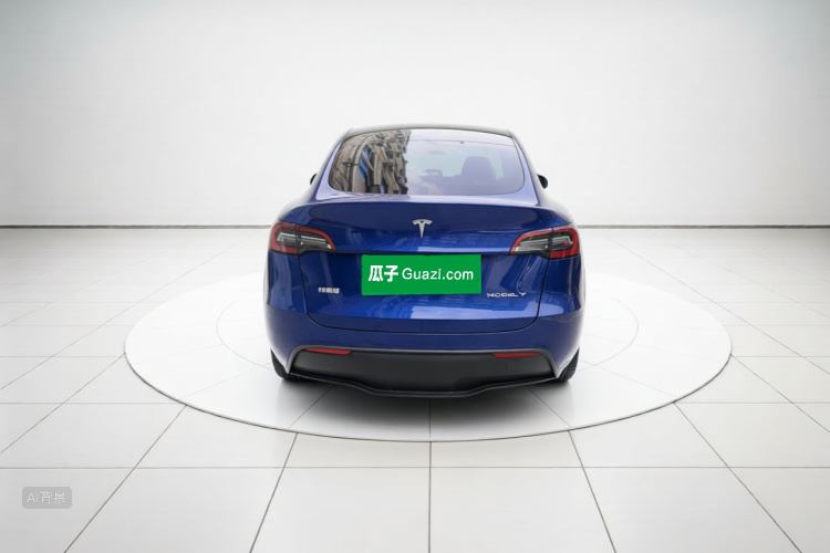 Tesla Model Y 2021 car image #6