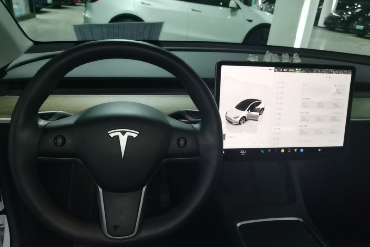 Tesla Model Y 2022 car image #10