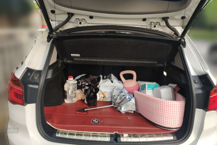 BMW X1 2016 car image #21