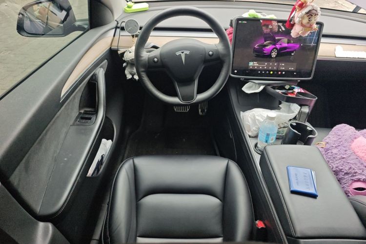 Tesla Model Y 2023 #15 Tesla Model Y 2023 car image #15