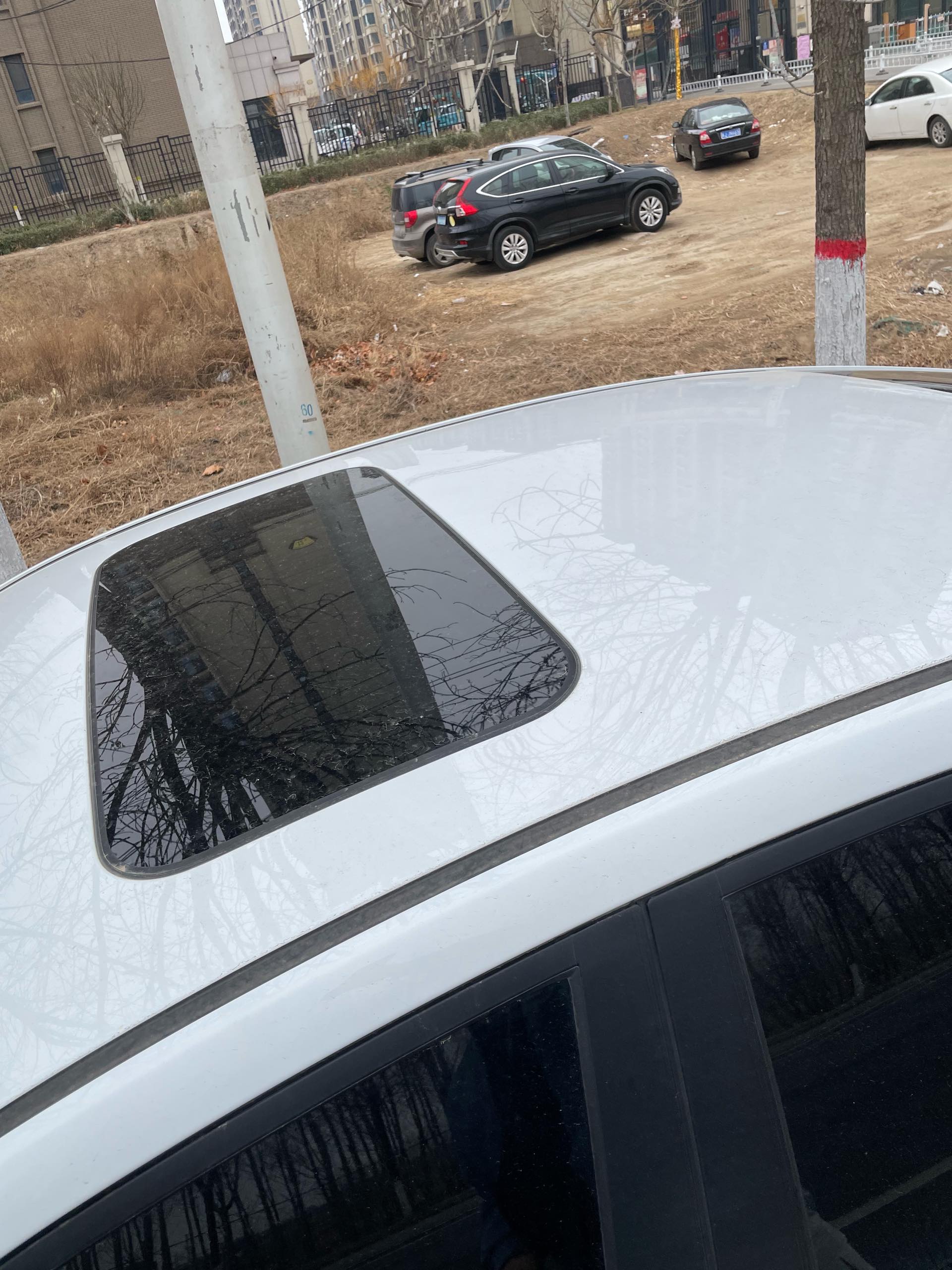 GEELY Binray 2024 image de voiture #4