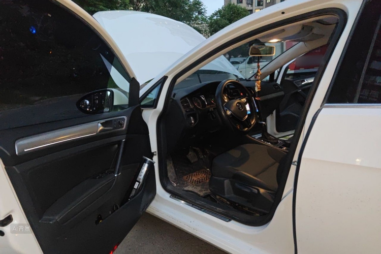 Volkswagen Golf 2019 car image #18