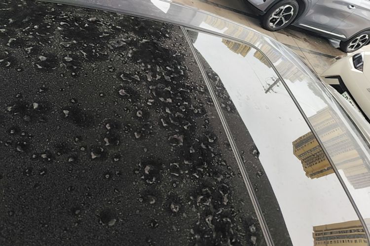 BYD Han 2021 car image #26