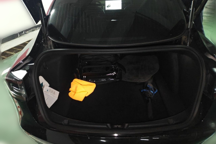 Tesla Model 3 2020 #21 Tesla Model 3 2020 car image #21