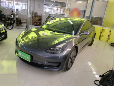 Tesla Model 3 2021 Tesla Model 3 2021 car image