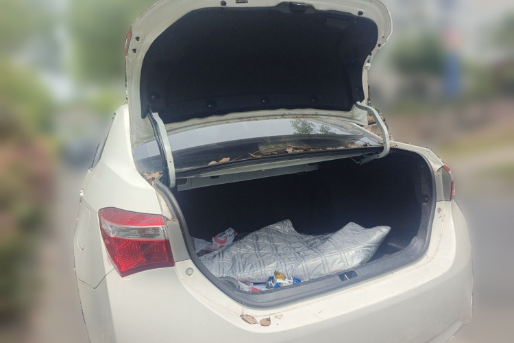 2015 #21 2015 car image #21