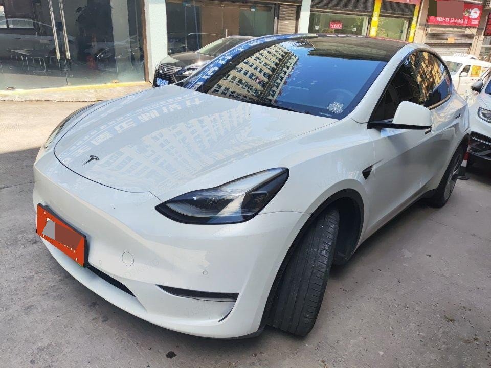 Tesla Model Y 2021 car image 
