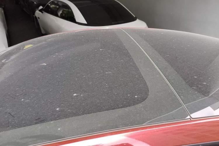 Tesla Model 3 2023 #25 Tesla Model 3 2023 car image #25