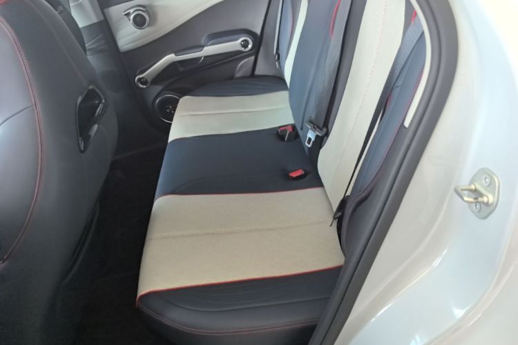BYD Yuan Plus 2022 car image #17