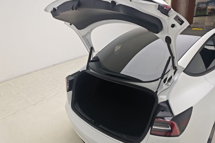 Tesla Model 3 2022 imagem de carro #19