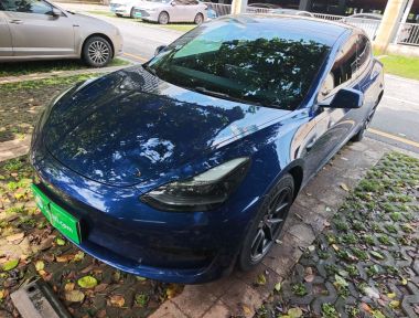 Tesla Model 3 2021 Tesla Model 3 2021 car image