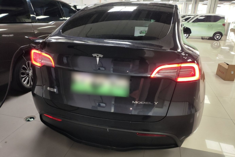 Tesla Model Y 2024 #6 Tesla Model Y 2024 car image #6