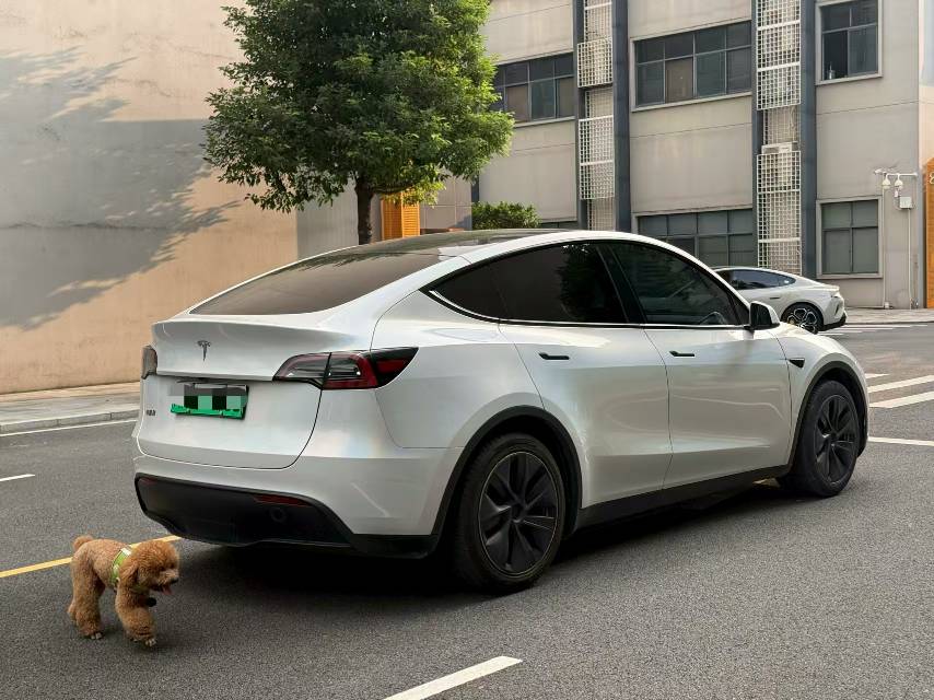 Tesla Model Y 2023 car image #4