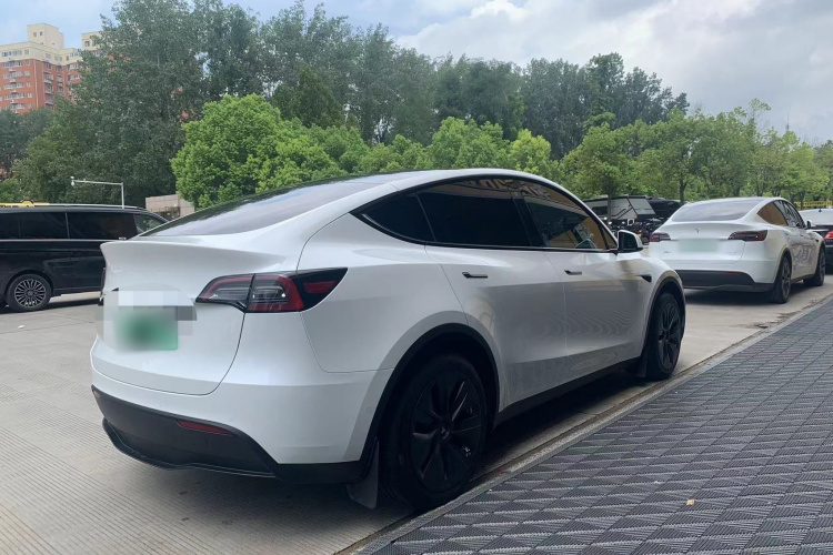 Tesla Model Y 2023 #3 Tesla Model Y 2023 صورة سيارة #3
