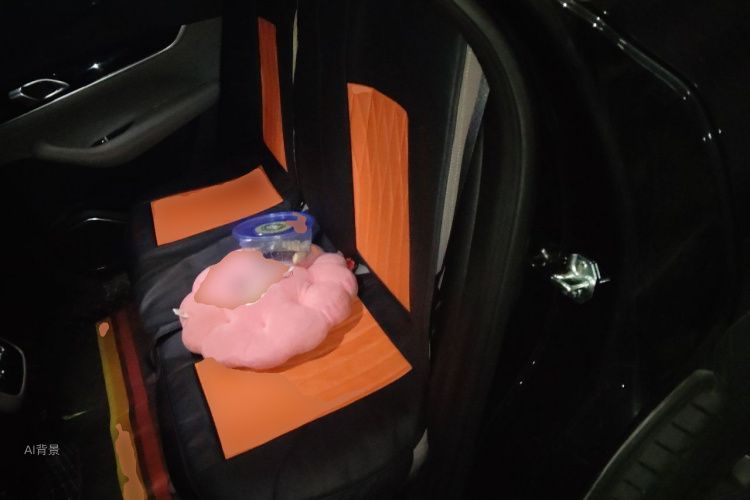 GEELY Boyue L 2025 car image #19