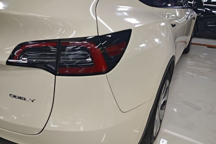 Tesla Model Y 2021 #8 Tesla Model Y 2021 car image #8