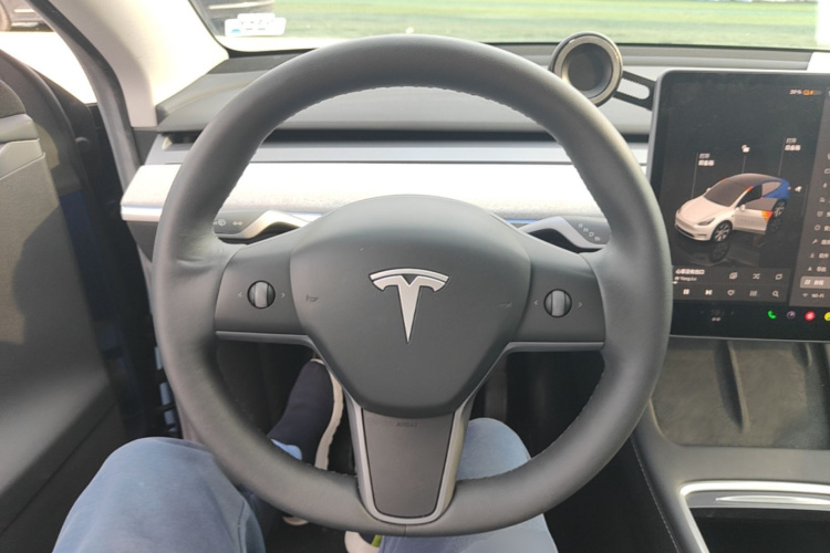 Tesla Model Y 2022 car image #15