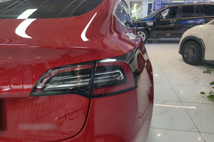 Tesla Model 3 2020 car image #8