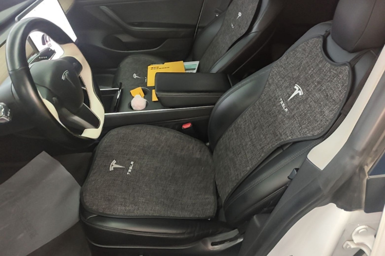 Tesla Model 3 2020 car image #19