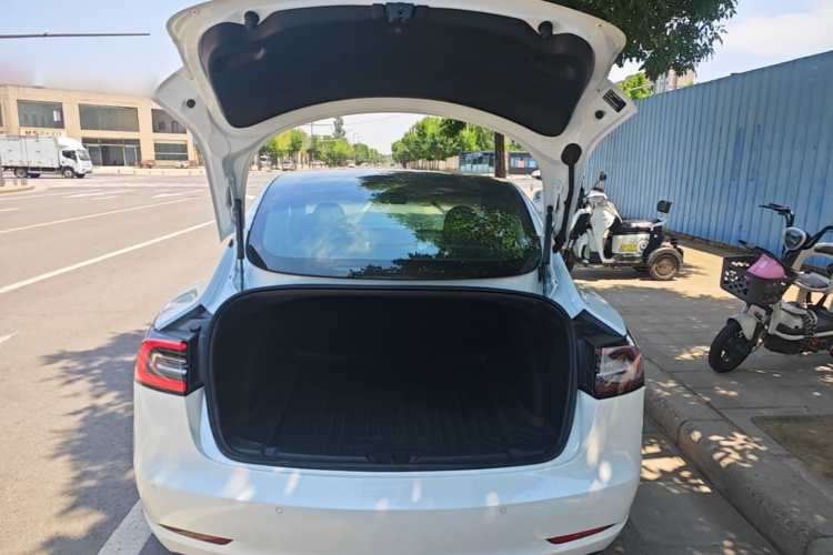Tesla Model 3 2020 #19 Tesla Model 3 2020 car image #19
