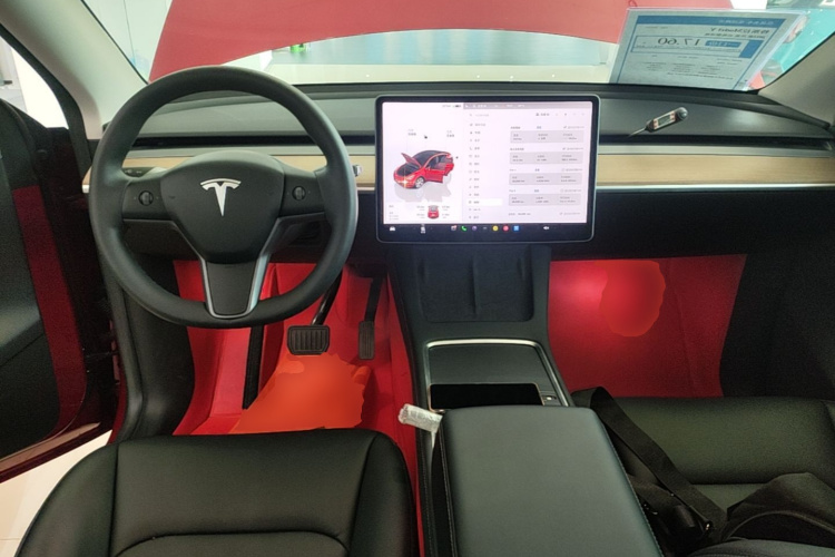 Tesla Model Y 2023 car image #10