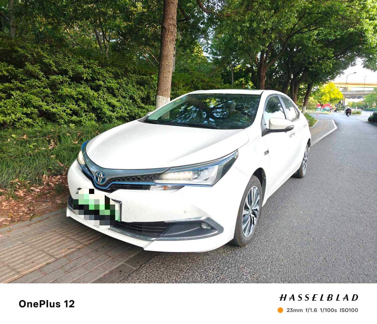 Toyota Corolla Hybird E+ 2020 Toyota Corolla Hybird E+ 2020 immagine di auto