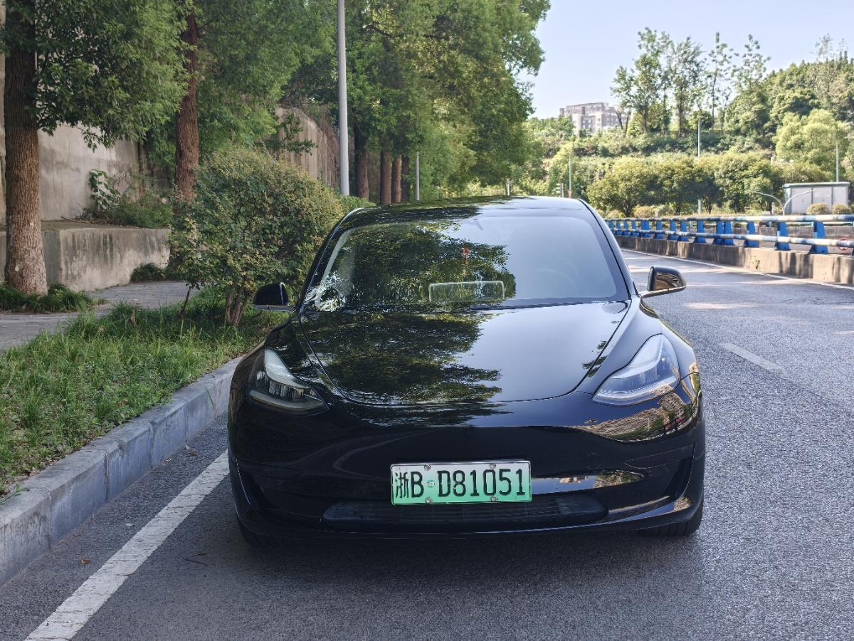 Tesla Model 3 2020 car image #2