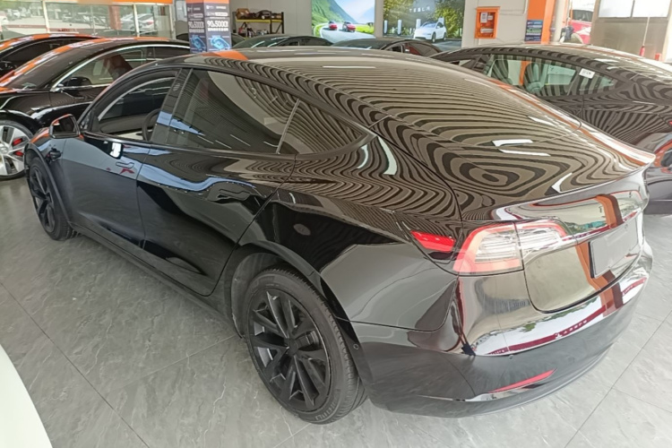 Tesla Model 3 2023 #5 Tesla Model 3 2023 car image #5