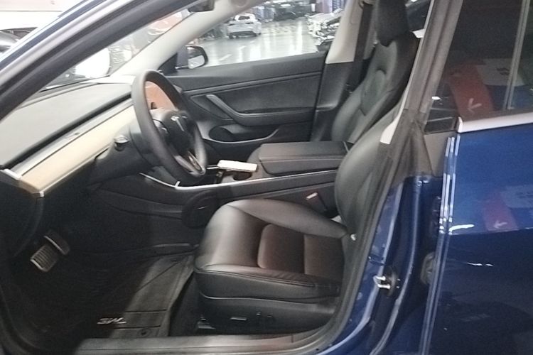 Tesla Model 3 2020 imagen de coche #19