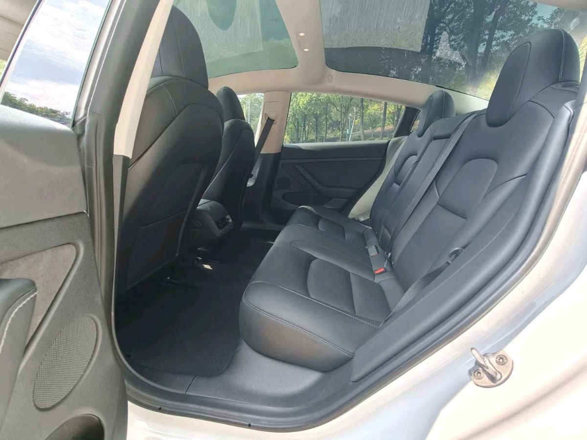 Tesla Model 3 2022 #5 Tesla Model 3 2022 car image #5