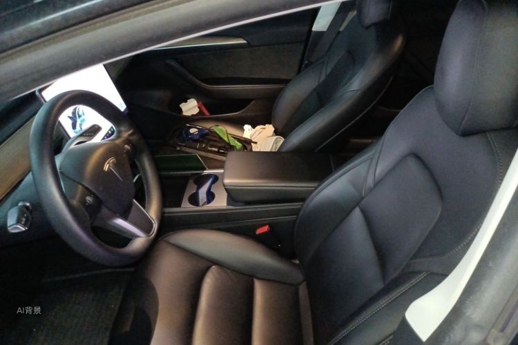 Tesla Model 3 2021 #17 Tesla Model 3 2021 car image #17