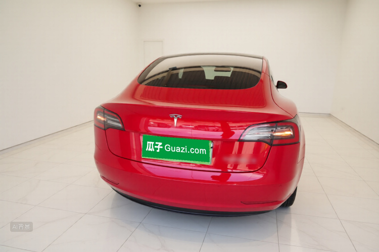 Tesla Model 3 2020 car image #6