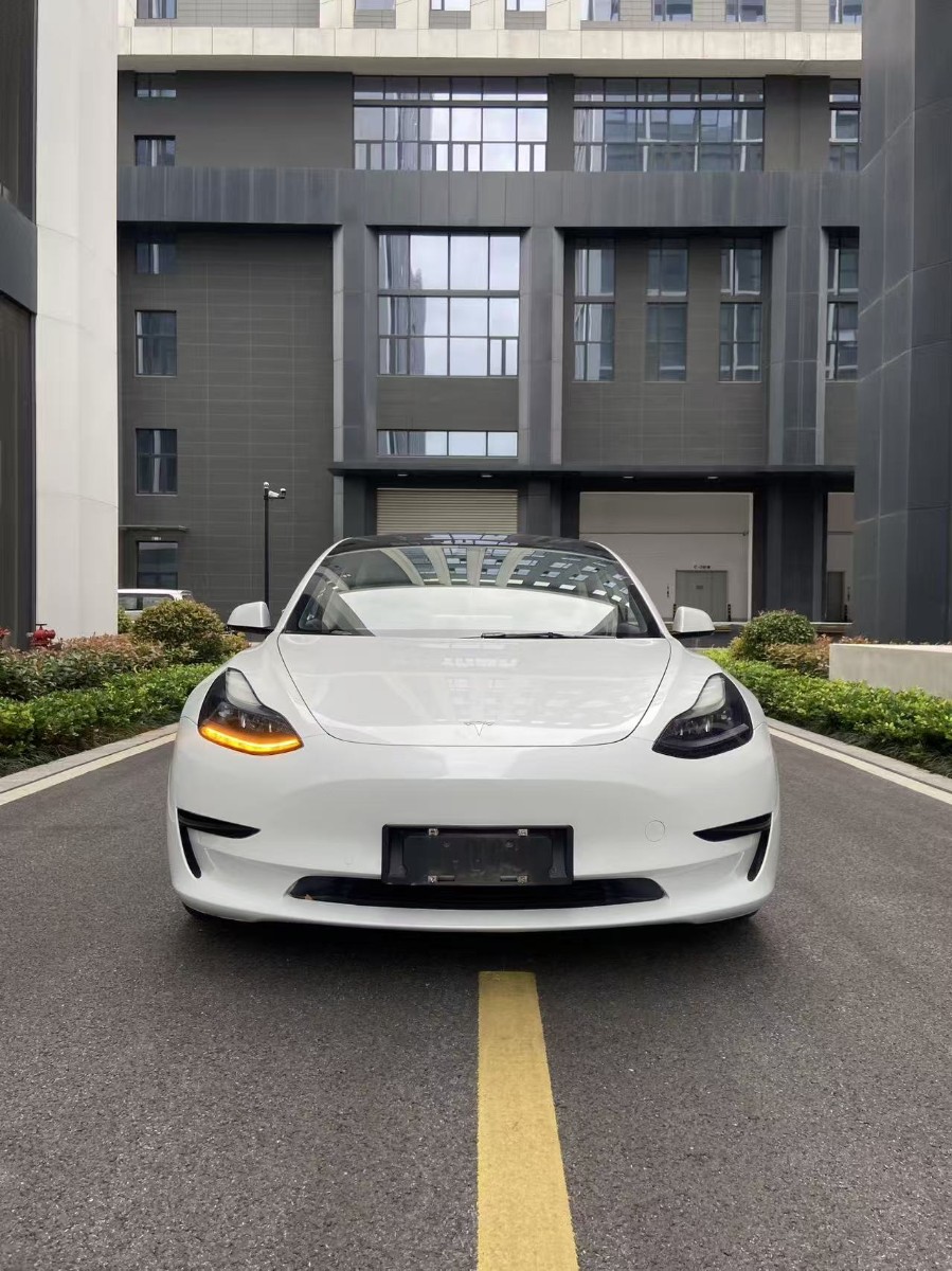 Tesla Model 3 2022 #2 Tesla Model 3 2022 car image #2