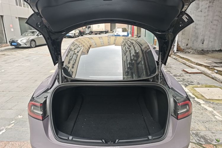 Tesla Model 3 2021 car image #19