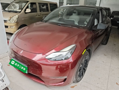 Tesla Model Y 2021 car image 