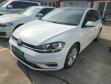Volkswagen Golf 2019 car image 