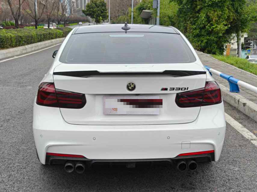 BMW 3 Series 2019 car image #10