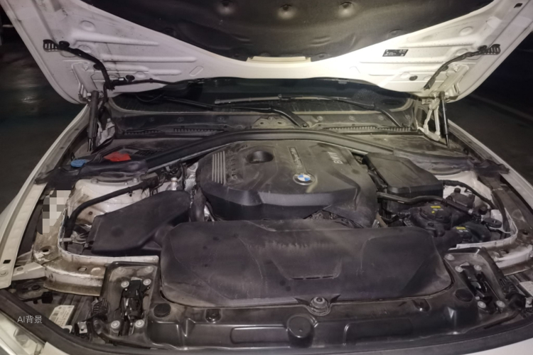 BMW 3 Series 2019 car image #22
