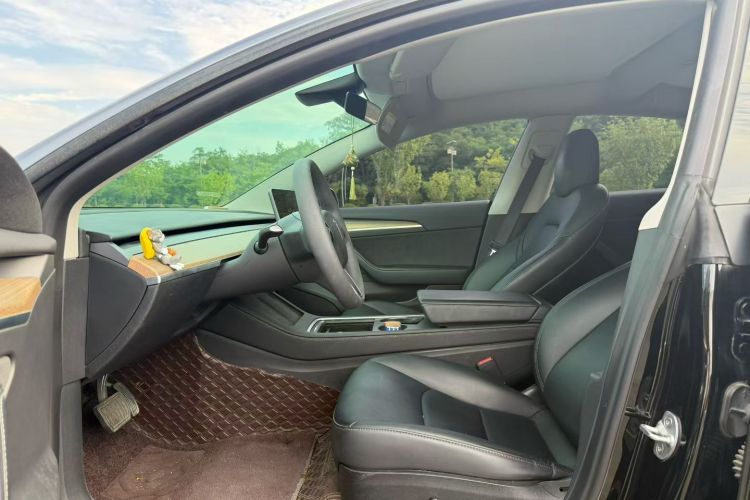 Tesla Model 3 2022 #10 Tesla Model 3 2022 car image #10