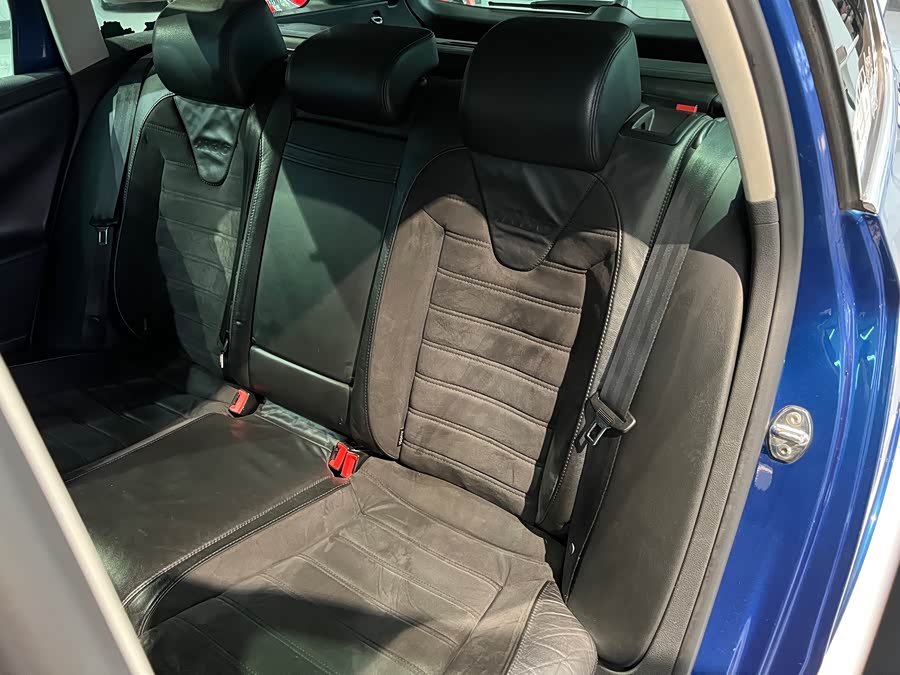 大众 Passat 2009 汽车图片 #27