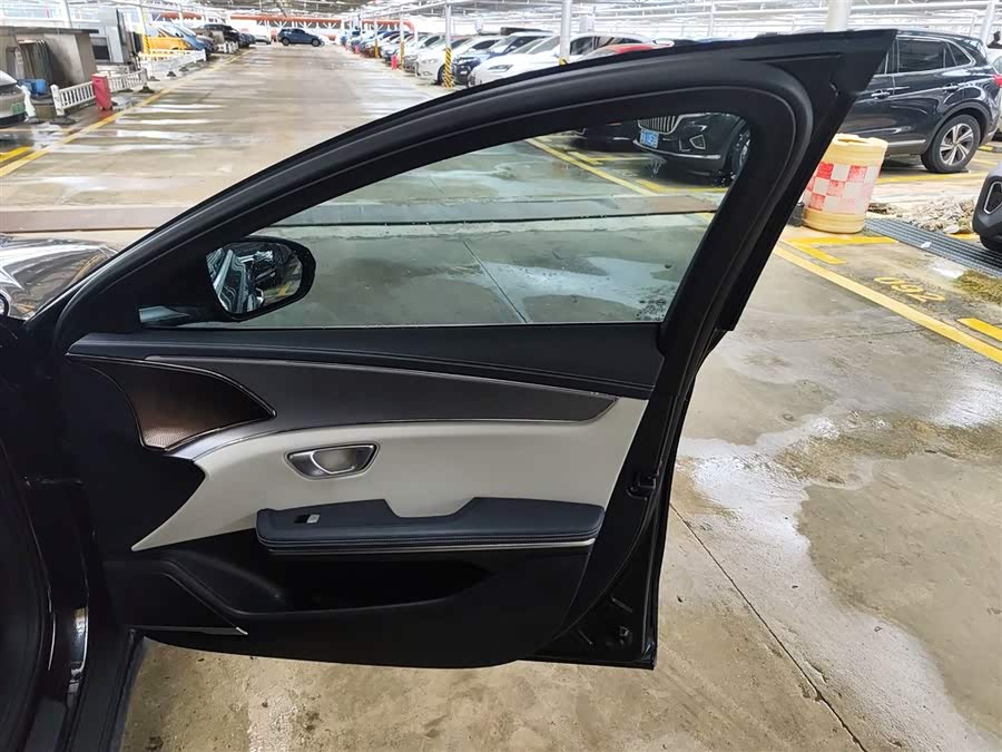 BYD e9 2021 car image #27