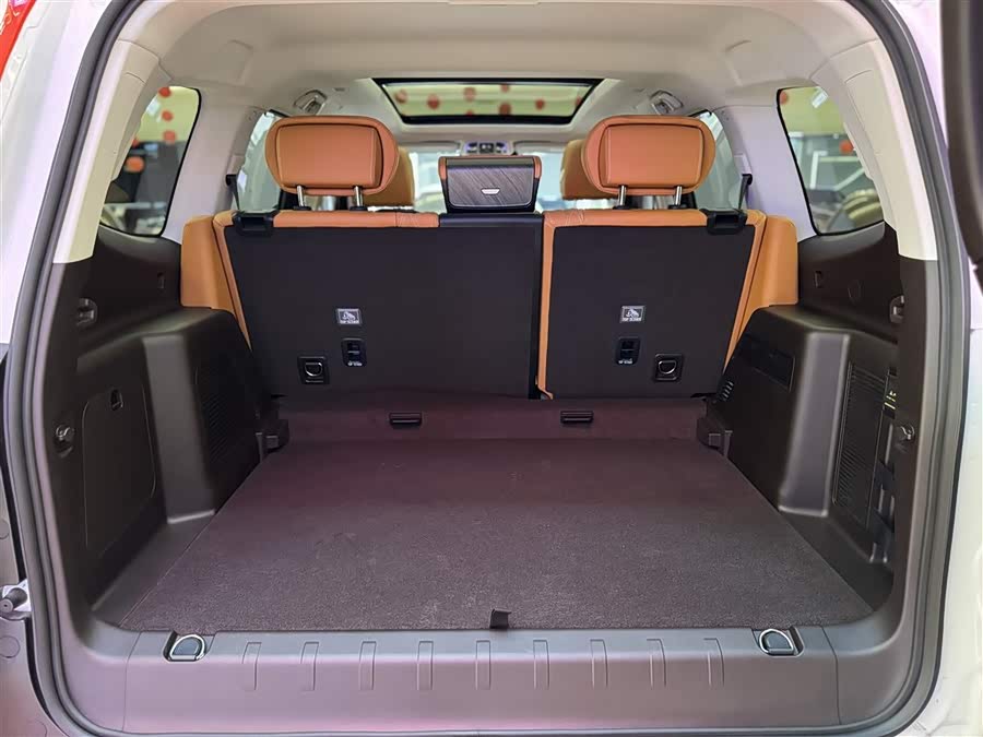 Tank 500 New Energy 2024 immagine di auto #27